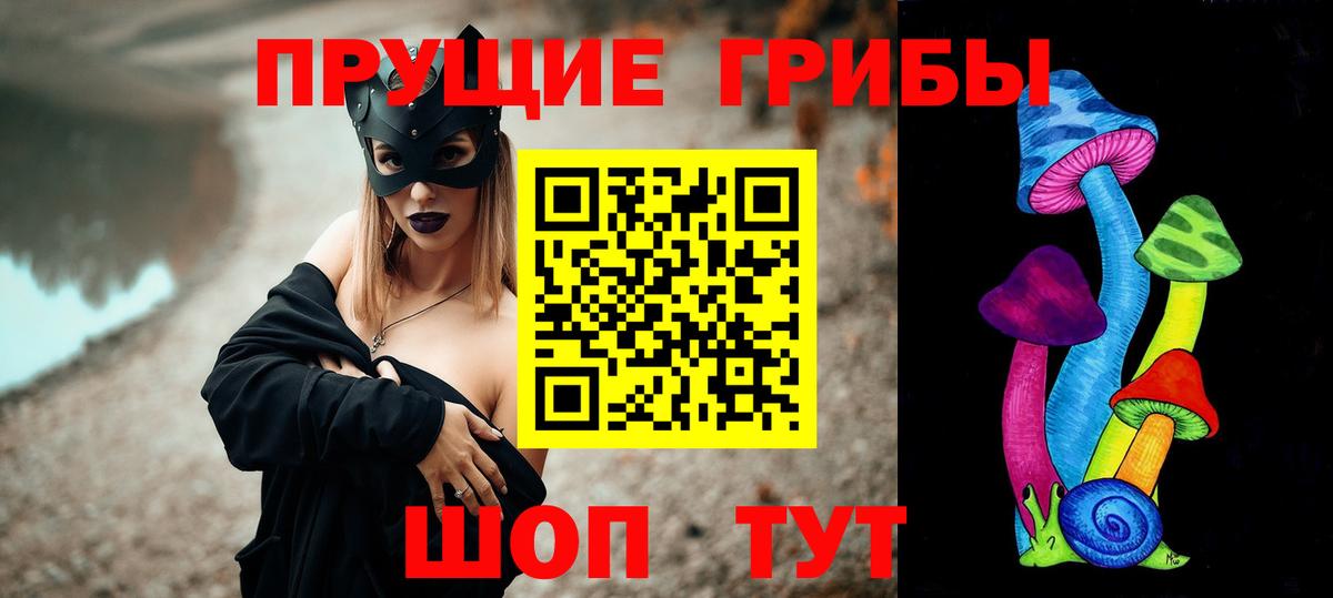 Красноуфимск  Галлюциногенные грибы Psilocybe  Вход с VPN 